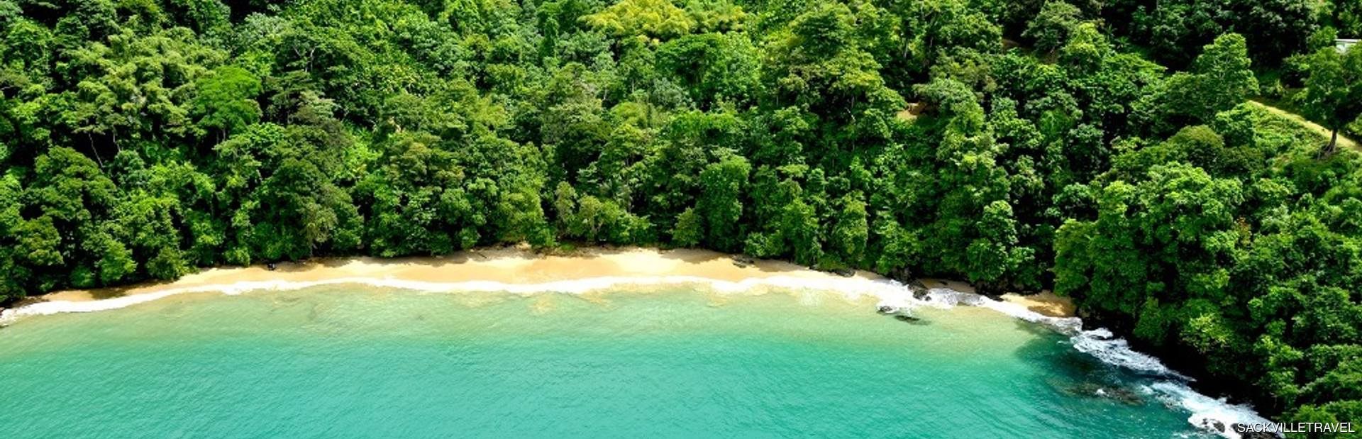 Pirate’s Bay Image 1