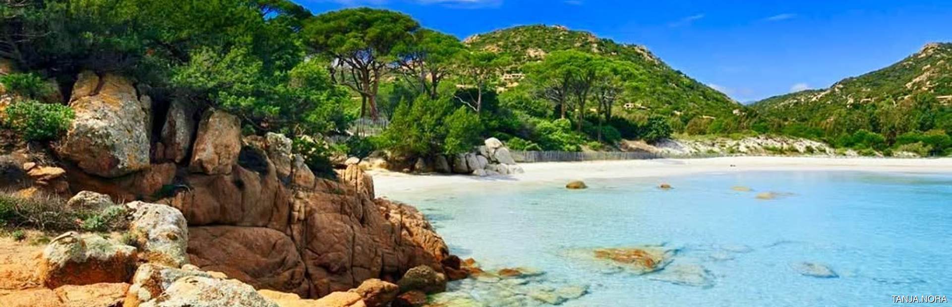 Palombaggia Beach Image 1