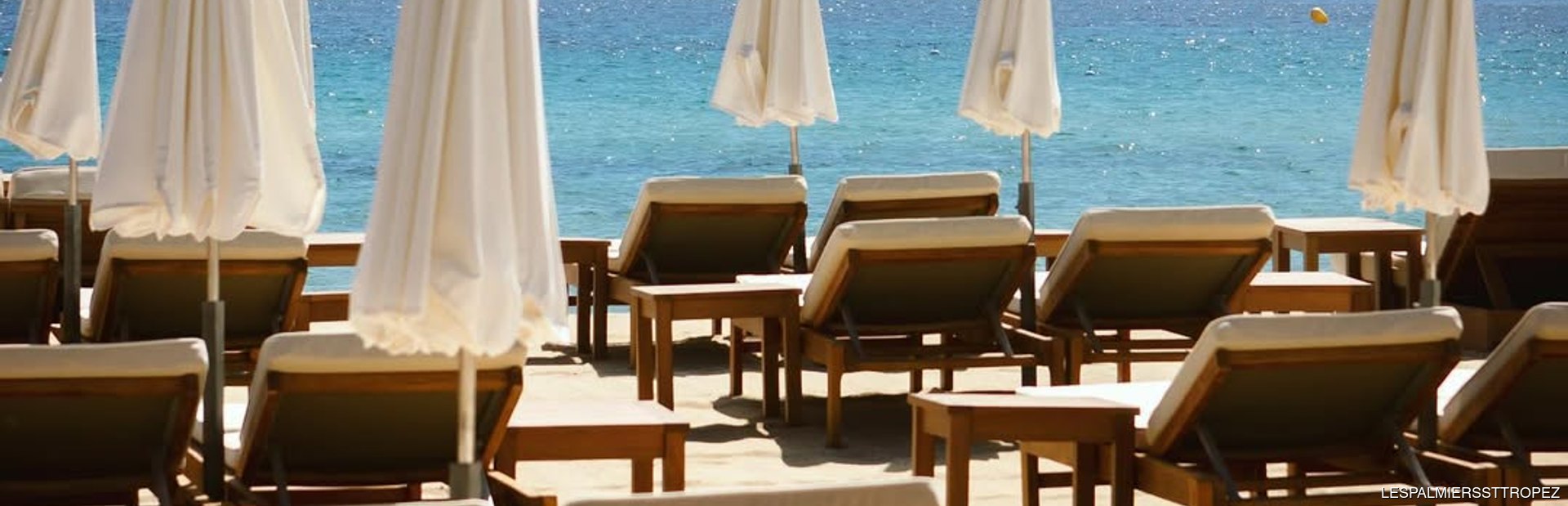 Les Palmiers Image 1