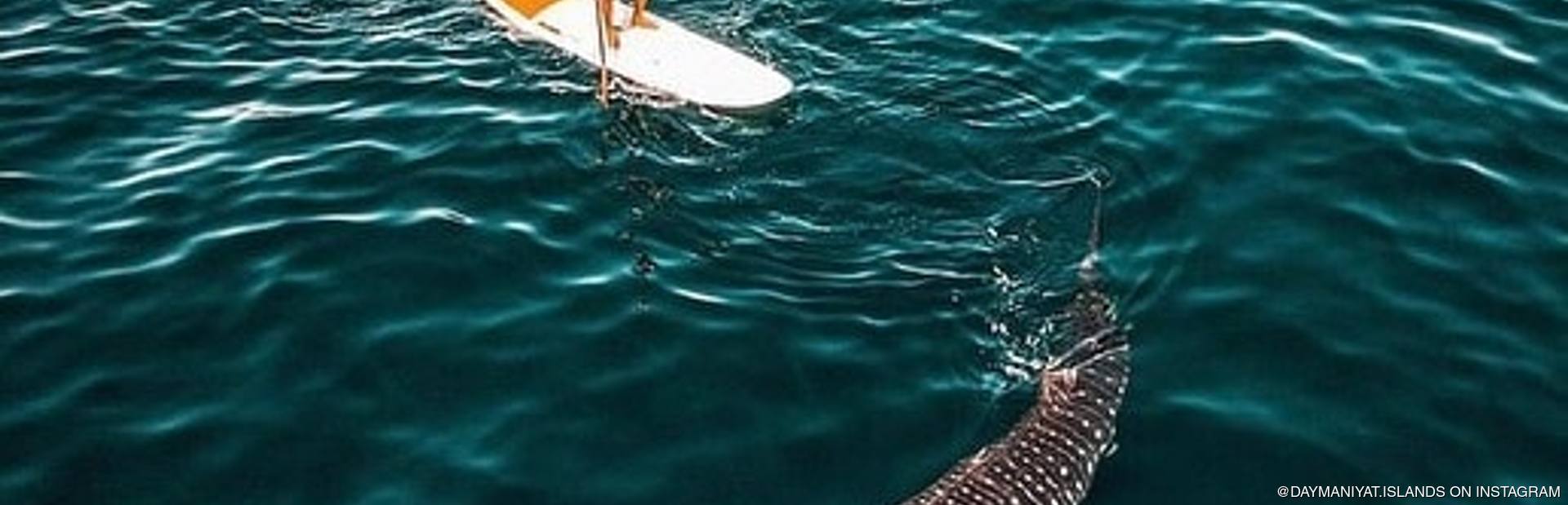 Daymaniyat Islands Image 1