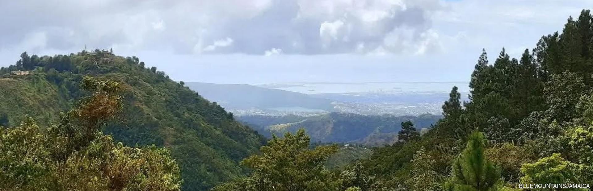 Blue Mountains Image 1