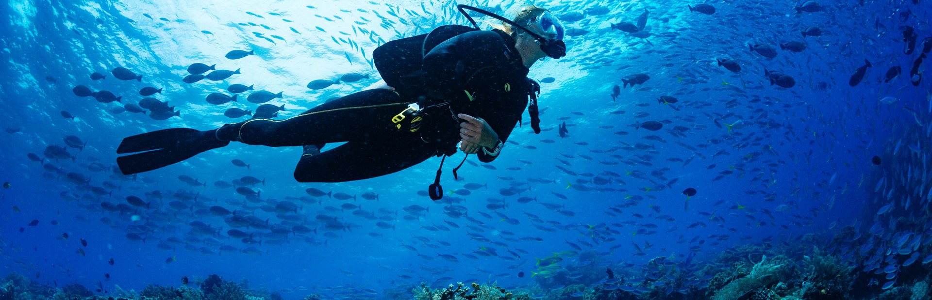 The ultimate guide to scuba-diving in the largest marine park in East Africa on a private yacht charter