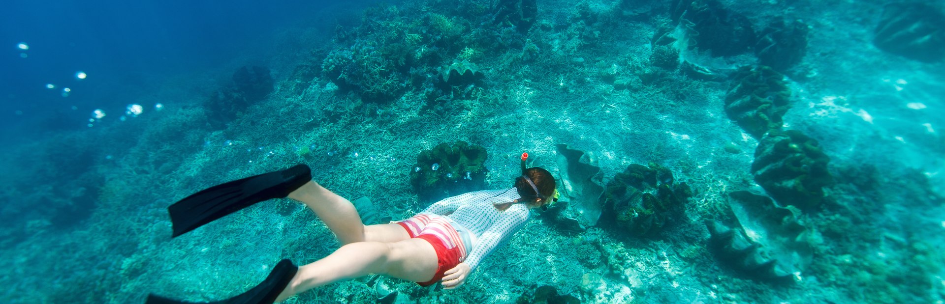 5 Of the best diving spots you have to check out in the Virgin Islands