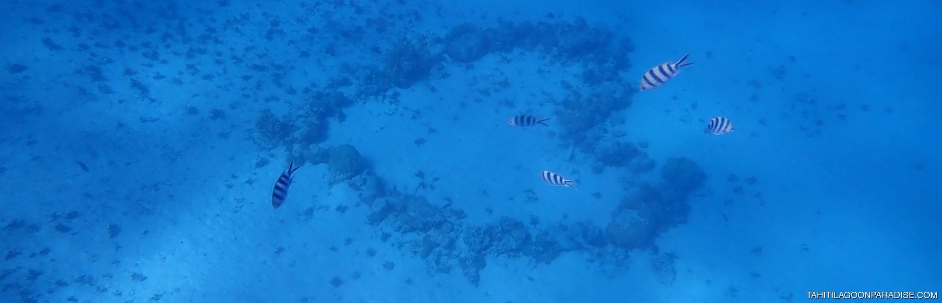 Tahiti Lagoon Paradise Image 1