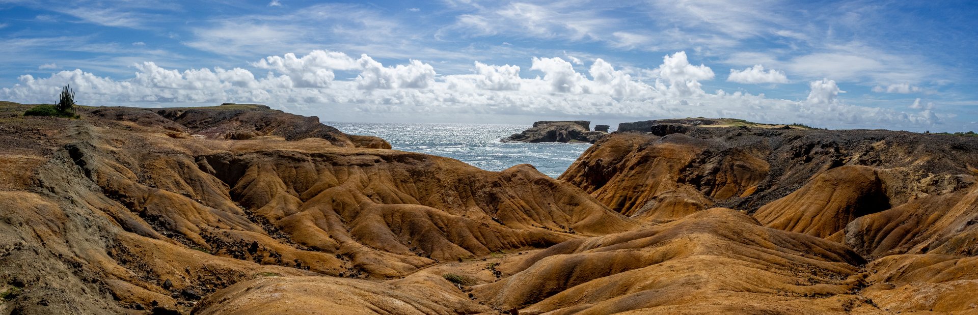 Savanna of Petrifications Image 1