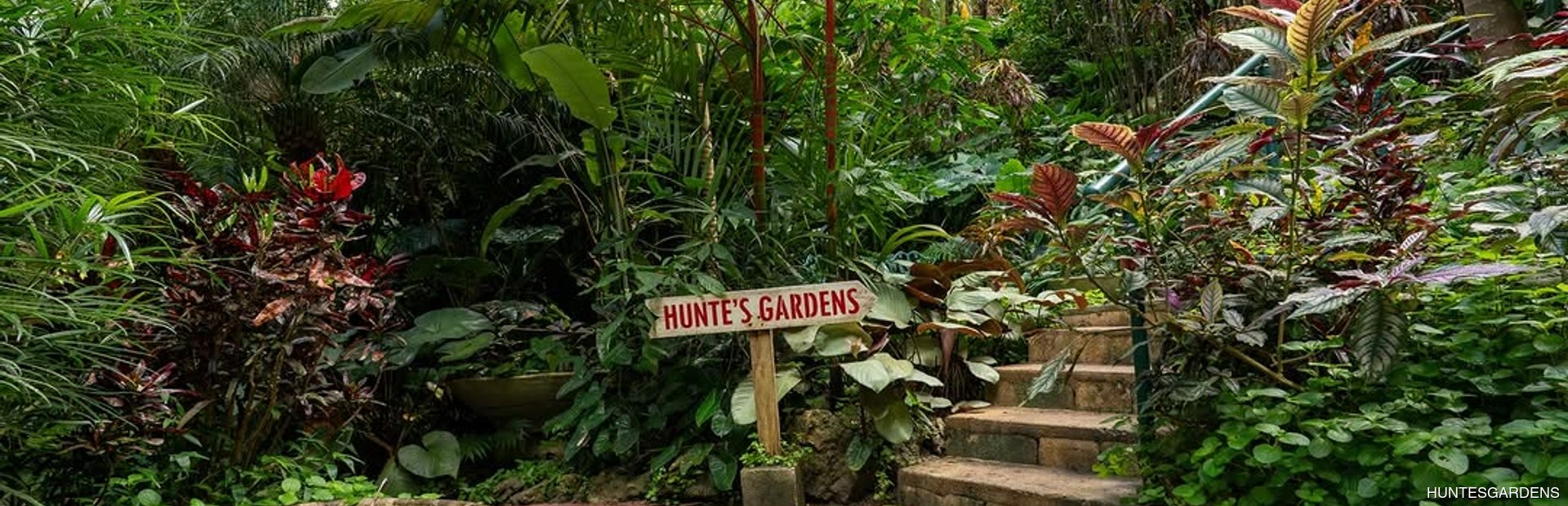 Hunte's Gardens Image 1