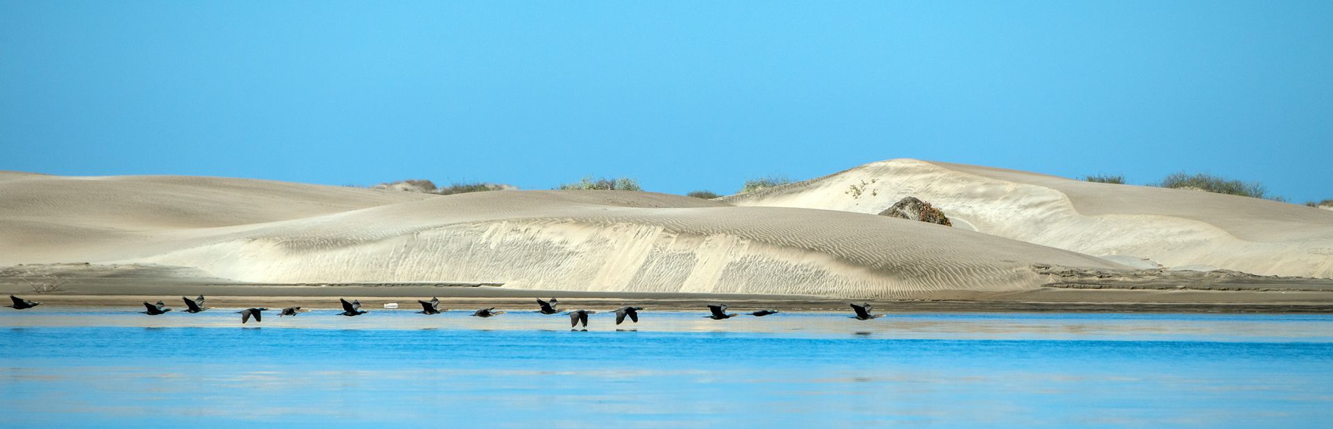 Magdalena Bay Image 1