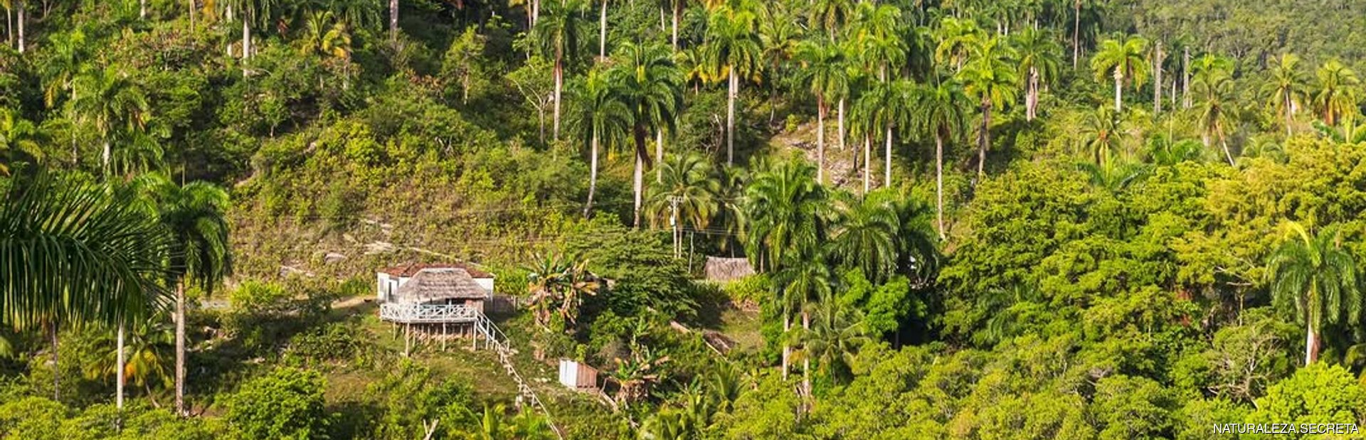 Alexander von Humboldt National Park Image 1