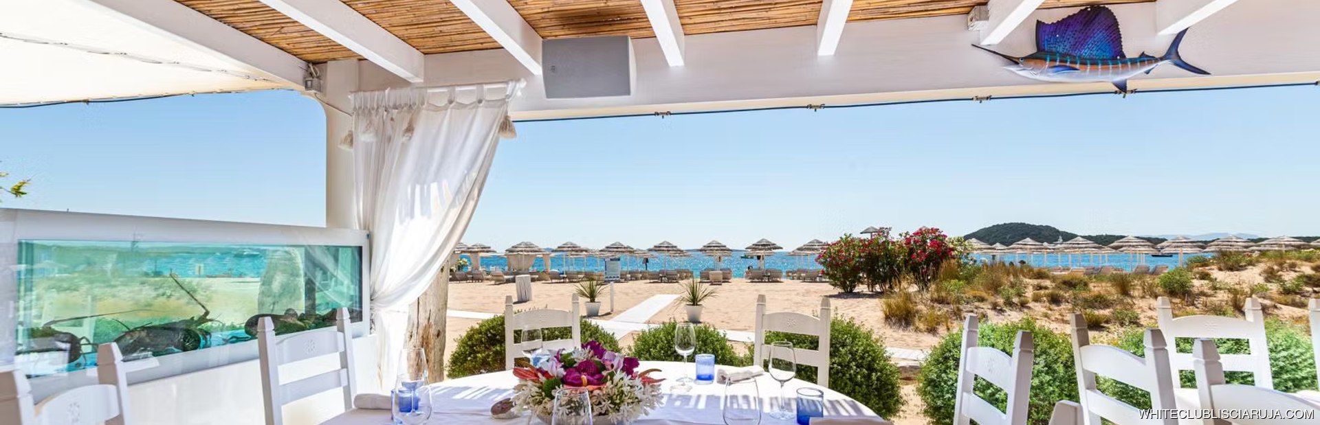 White Beach Club Image 1