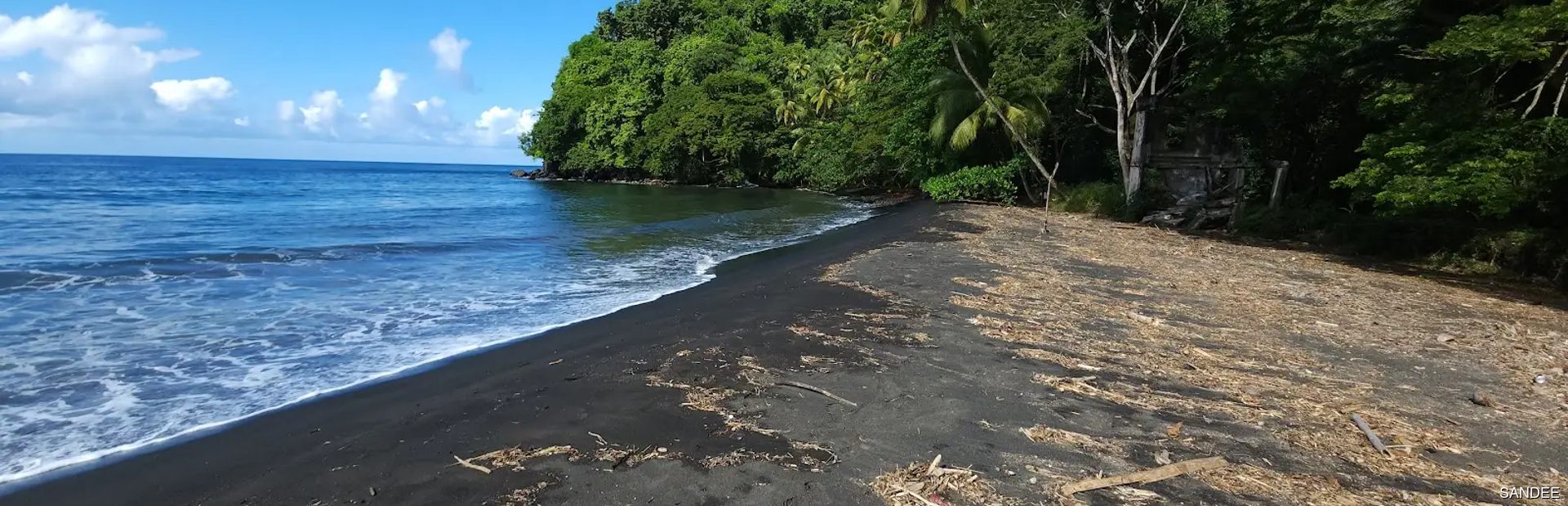 Black Bay Beach Image 1