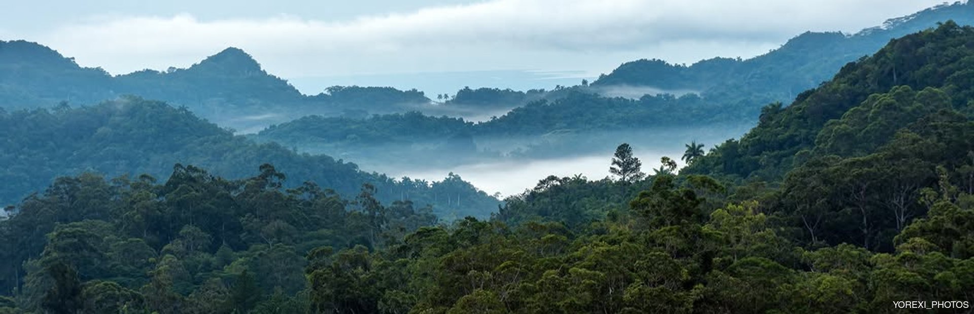 Gran Parque Natural Topes de Collantes Image 1
