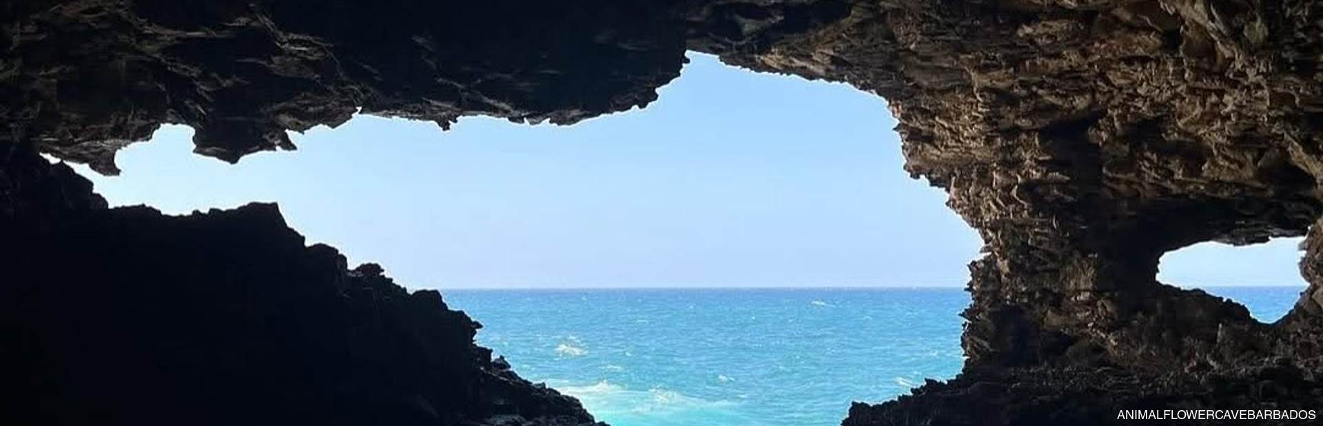 Animal Flower Cave Image 1