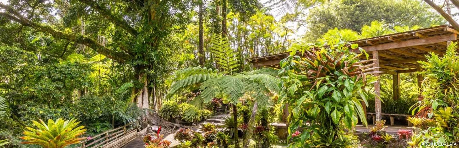 Jardin de Balata Image 1