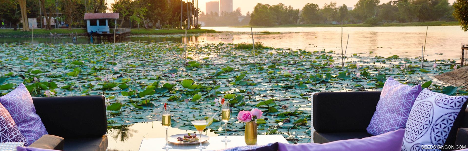 SEEDS Restaurant & Lounge Image 1