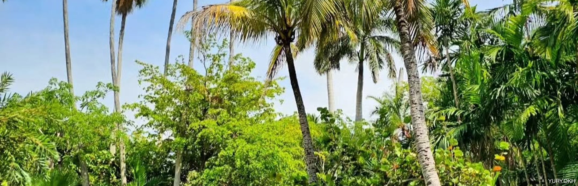 Garden of the Groves Image 1