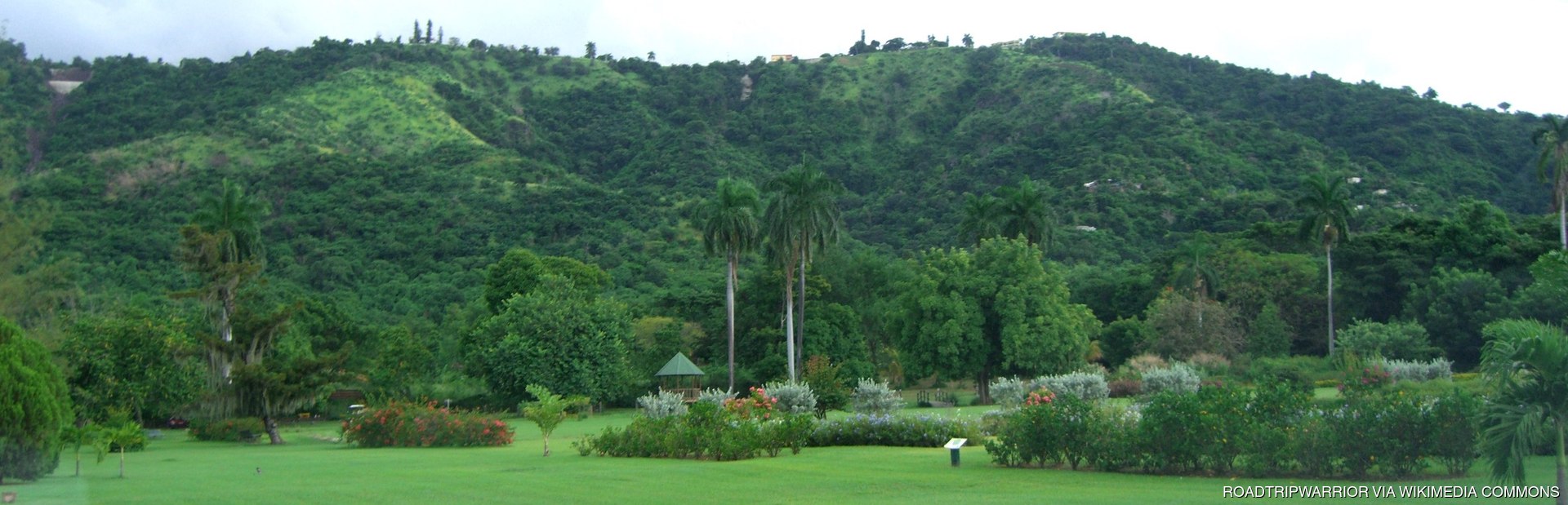 Hope Botanical Gardens Image 1