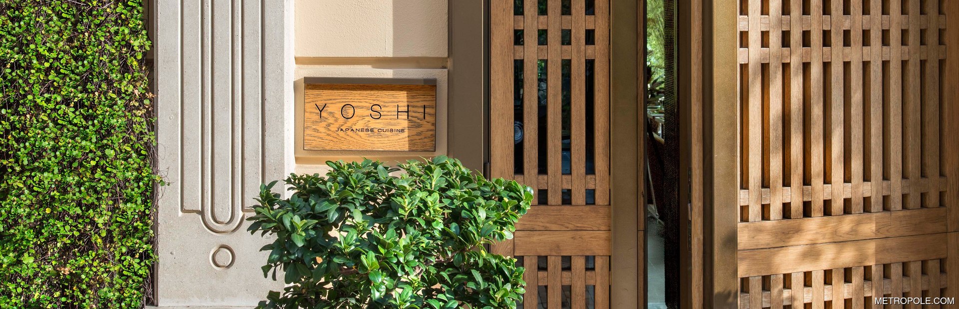 Yoshi Image 1