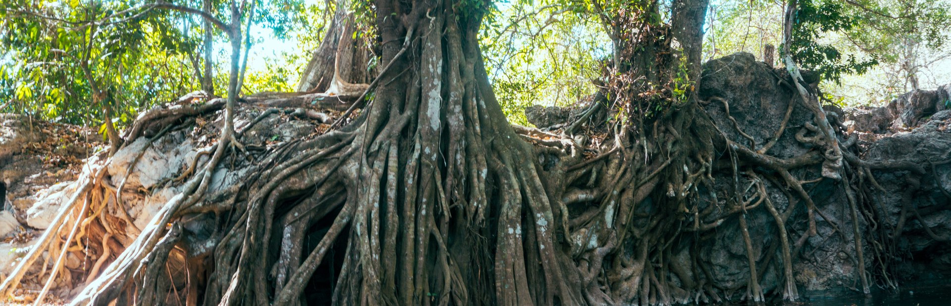 Acklins & Crooked Island climate photo