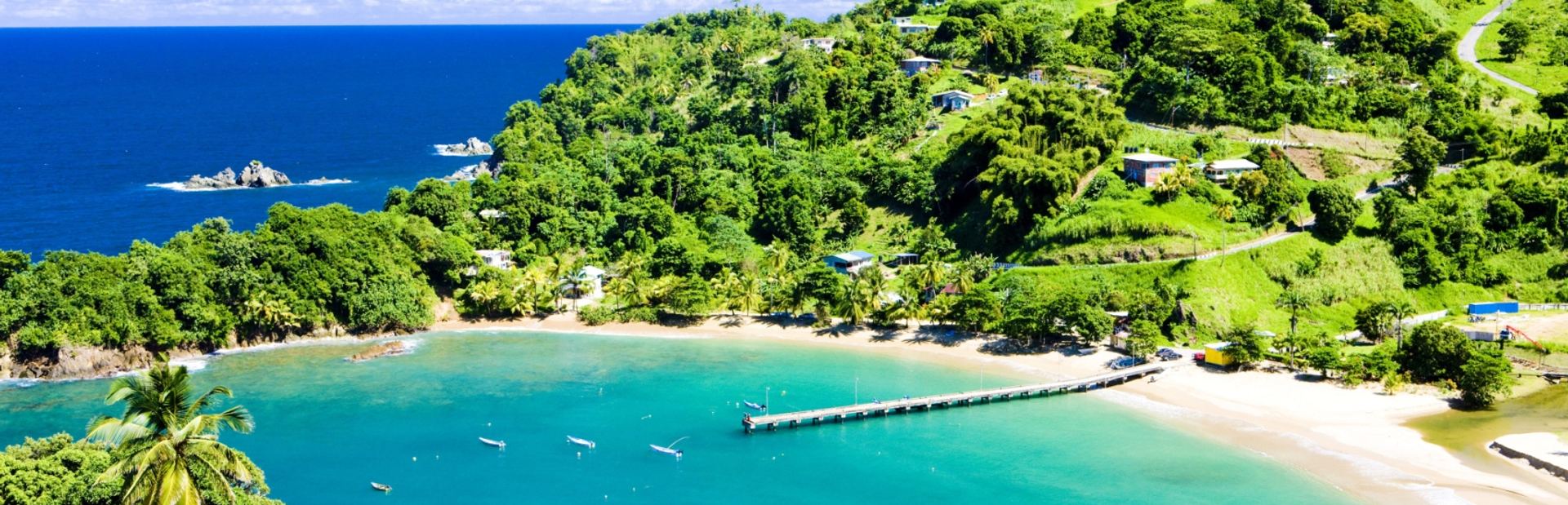 flights from pittsfield charter township to trinidad and tobago