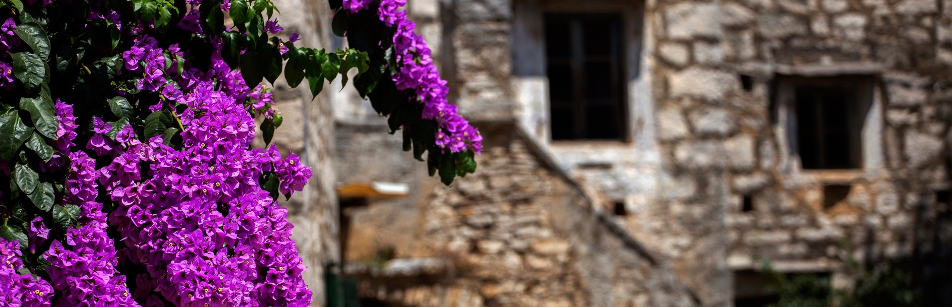 Šolta climate photo