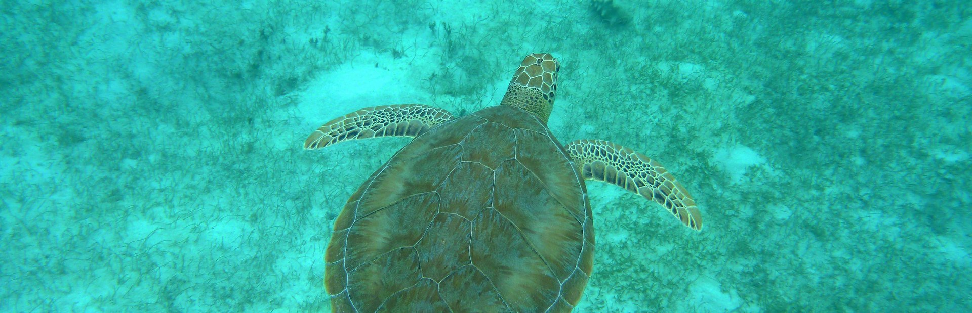 Mustique climate photo