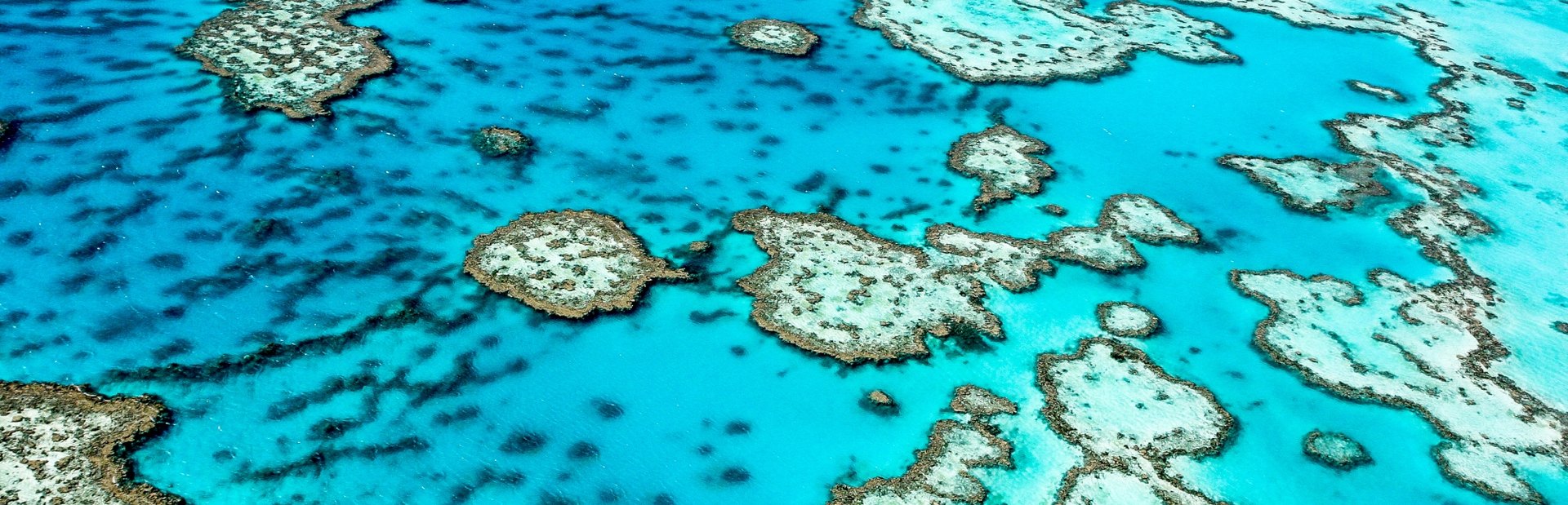 Great Barrier Reef climate photo