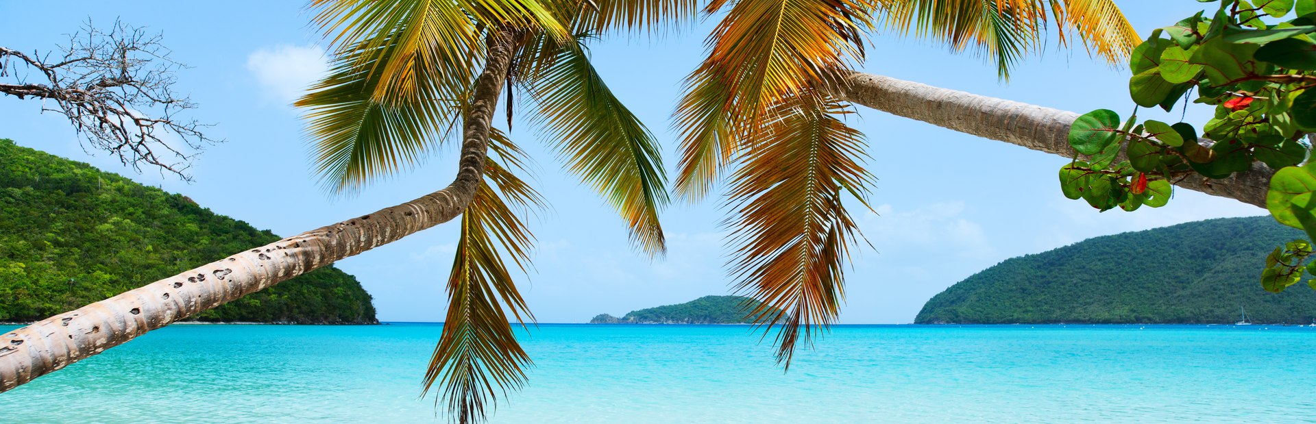 St John climate photo