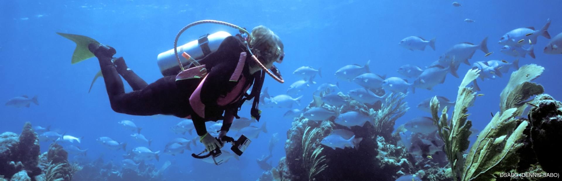 Things to see & do inBermuda