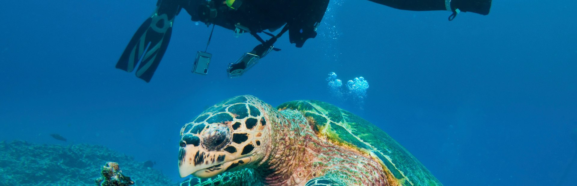Great Barrier Reef charter itineraries