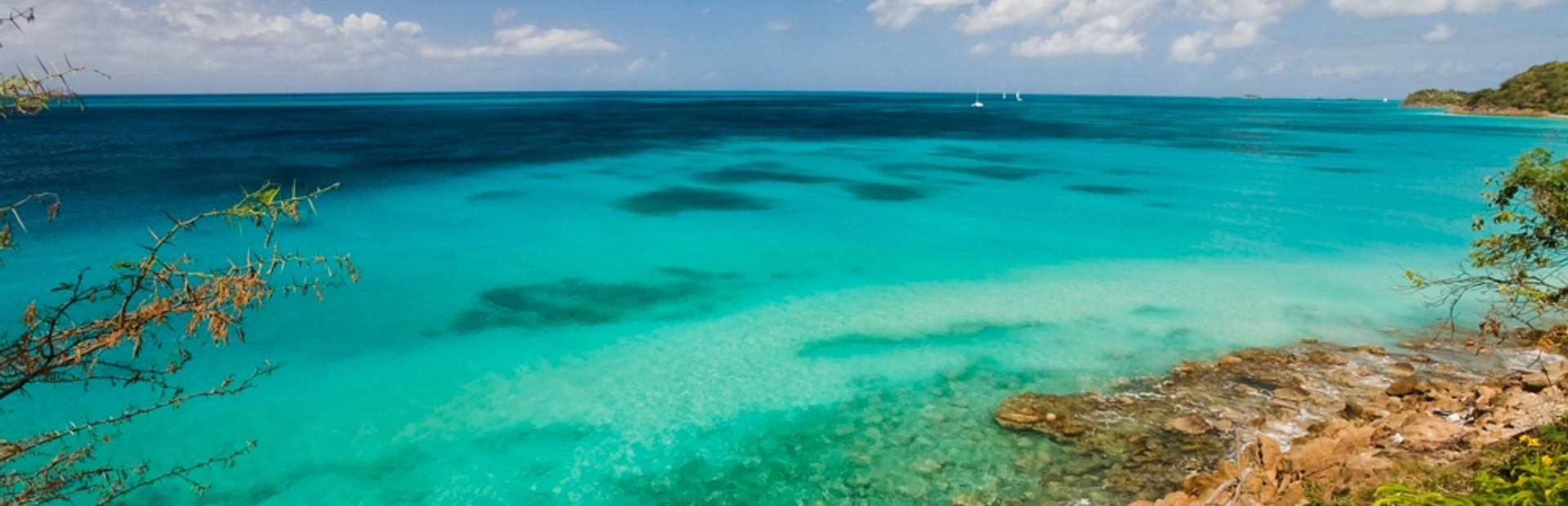 Discover an Enchanting Underwater World in Antigua