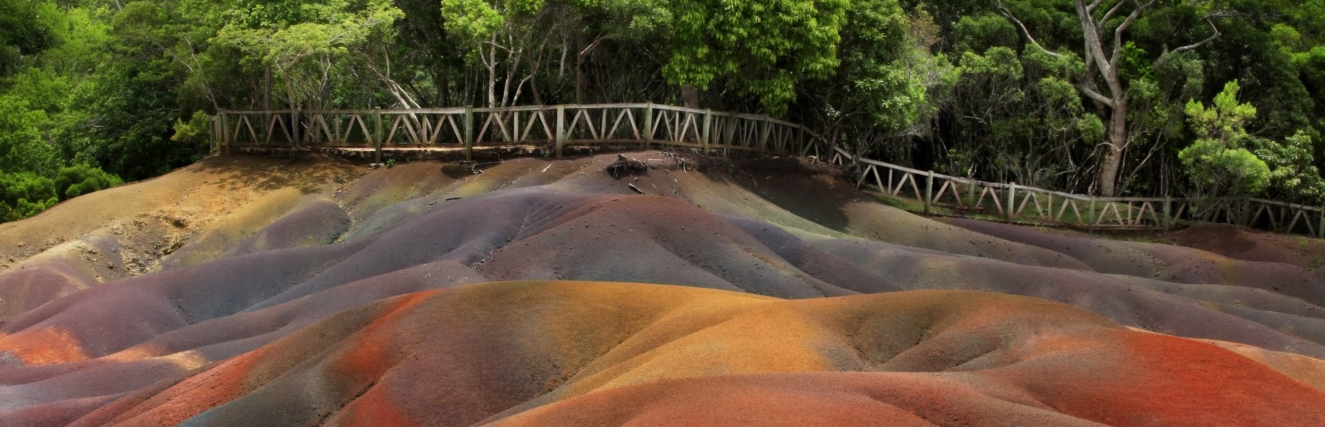 Colourful soil in front of the fenced forest