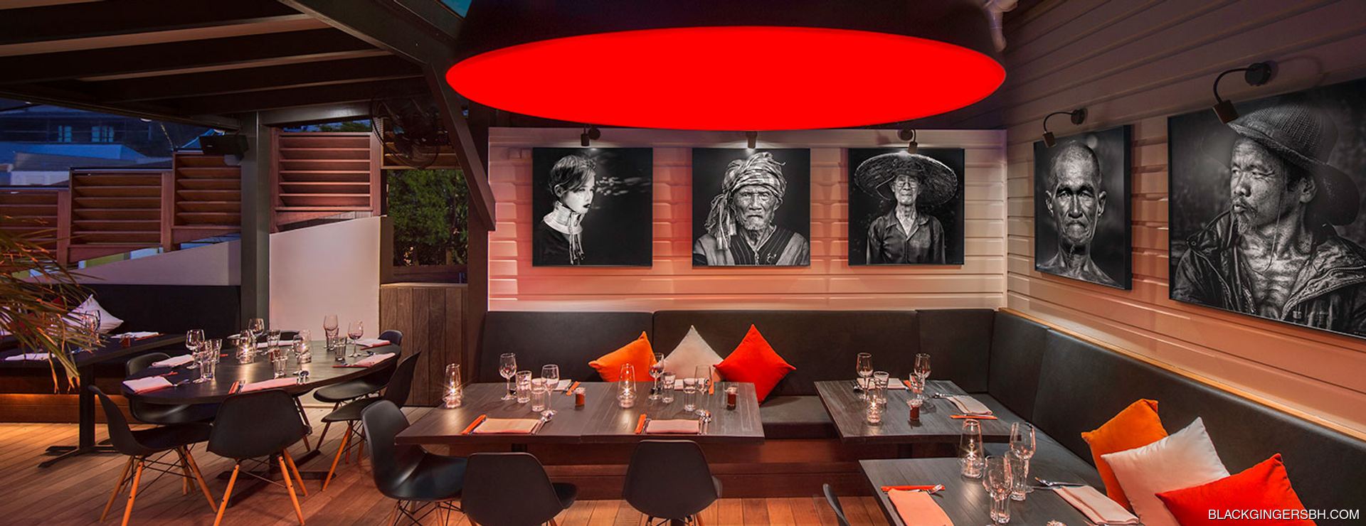 Black Ginger Image 1