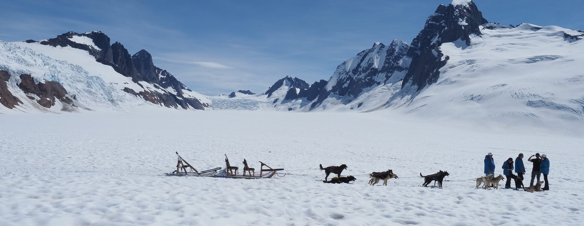 Glacier Dog Sledding Tour Image 1
