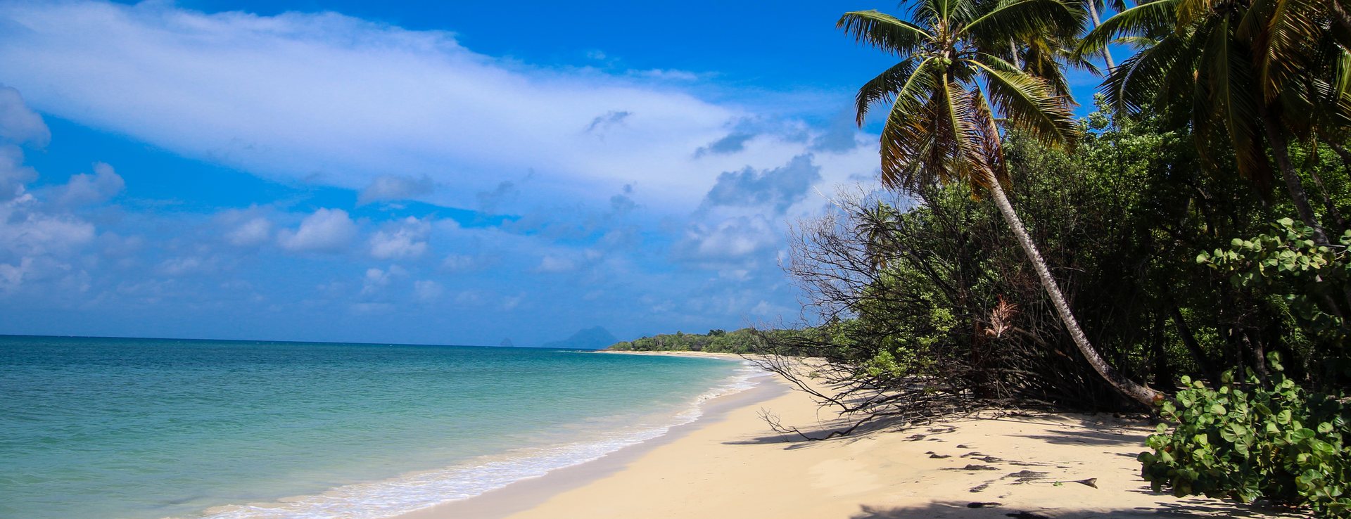 Plage des Salines Image 1