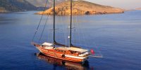 Kaya Guneri Plus