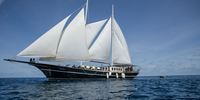Dream Voyager