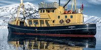 Isbjornen II