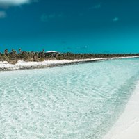 Compass Cay Guide