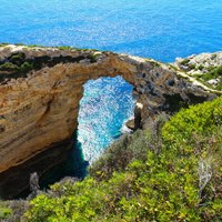 Paxos and Antipaxos Guide