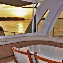 Chaser Yacht 
