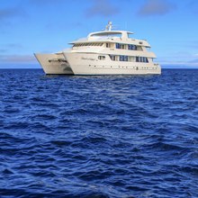 Treasure Yacht 