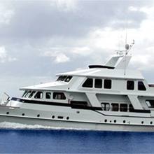 Glacier Bear Yacht 