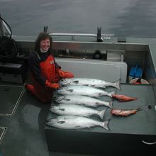 Glacier Bear Yacht 