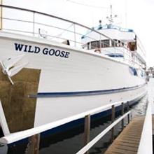Wild Goose Yacht 