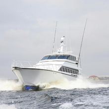 Fin-ominal Yacht 