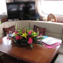 Delphine Yacht 