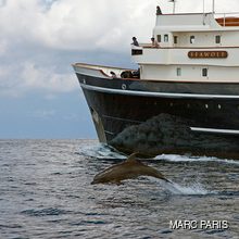 Seawolf Yacht Close Side View