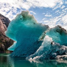 Glacier Bear Yacht 