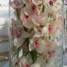 Elegant 007 Yacht Detail - Flowers