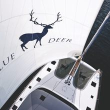 Blue Deer Yacht 